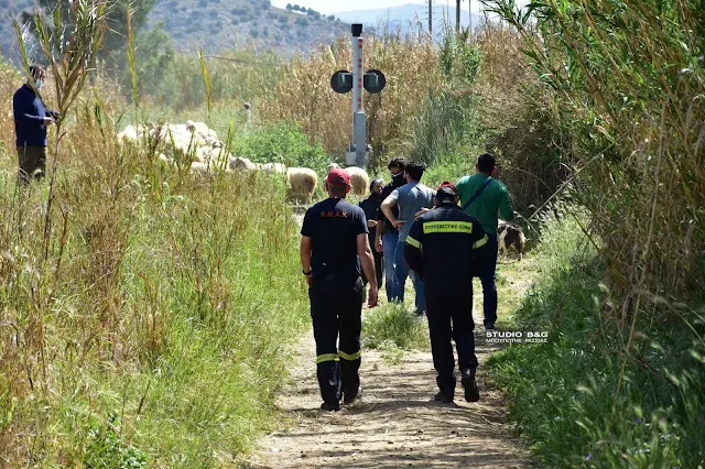 Τέλος η αγωνία για την αγνοούμενη στην Αργολίδα - Εντοπίστηκε εν ζωή και καλά στην υγεία της