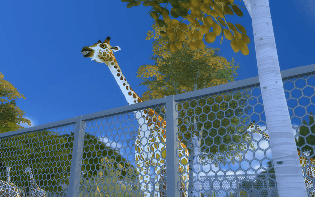 girafe zoo sims 4