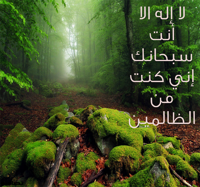 خلفيات وصور رائعة hd wallpapers