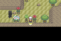 Pokemon Lost Treasure Screenshot 01