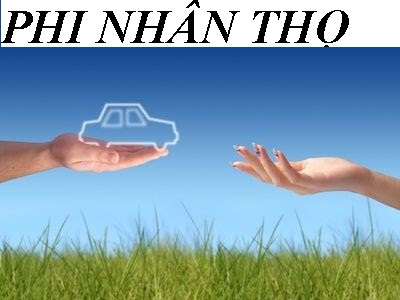 PHI NHÂN THỌ 19/11/2015 ( 5 sản phẩm )