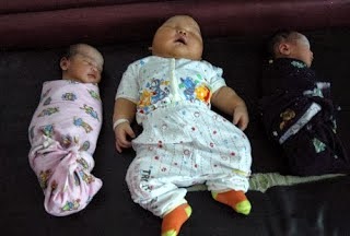 7 Bayi Terbesar di Dunia  