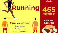 Daily Calorie Burn
