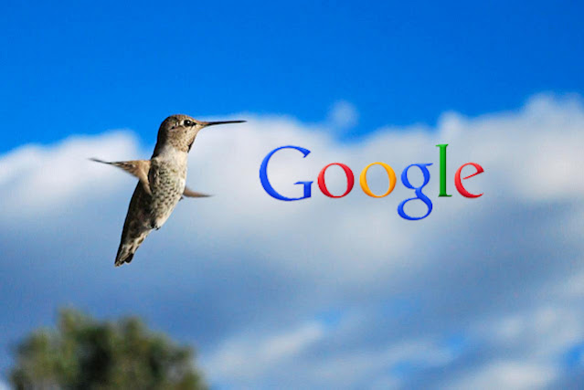 Google Humming Bird Algorithm Update