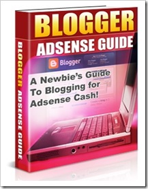 Blogger Adsense Guide