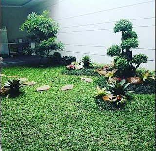 taman minimalis dengan bonsai