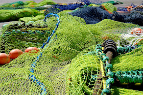 http://innovation-forum.co.uk/sustainable-seafood-sourcing.php