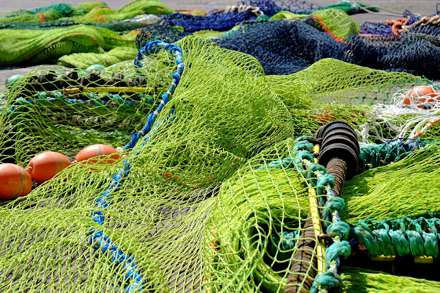 http://innovation-forum.co.uk/sustainable-seafood-sourcing.php