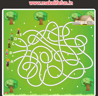 playing game, maze of maze, bhul bhulaiya, brain Puzzle.