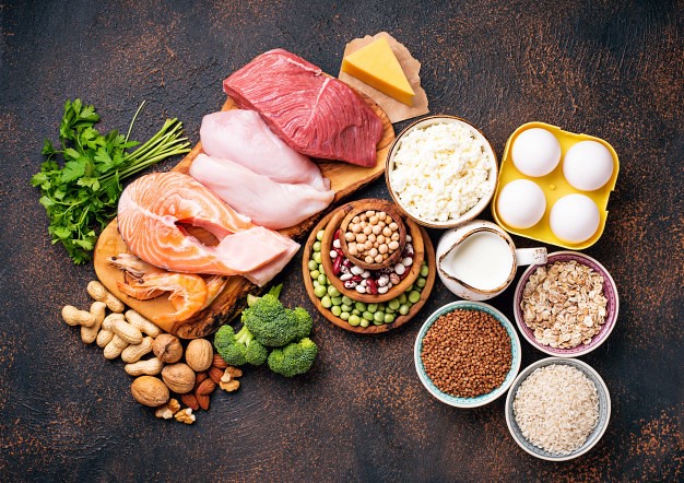 why is protein an important part of a healthy diet