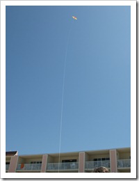 Florida 2011 023