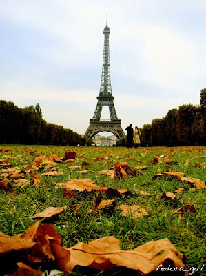 stunning photography of Eiffel tower