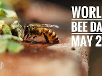 World Bee Day - 20 May.                                                                                                                                                                                                                                                                                                                                                                                                                               20 May