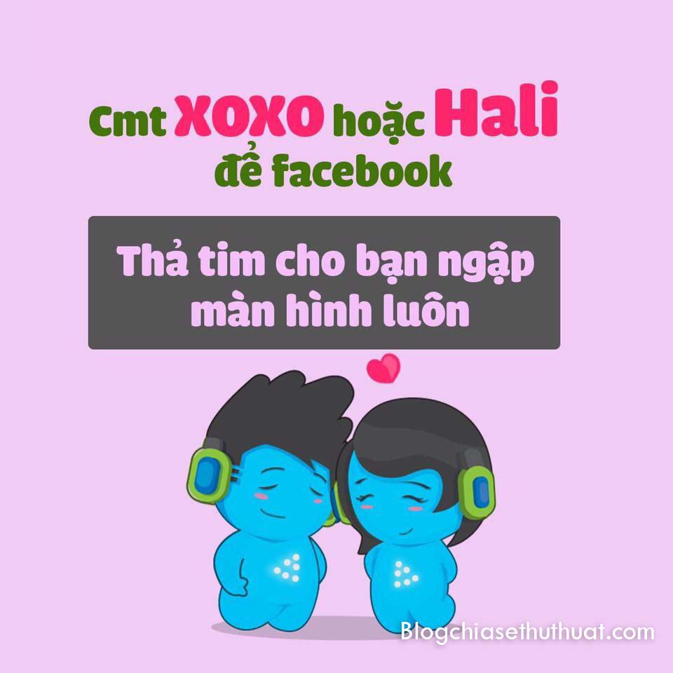 Cmt "XOXO" hoặc "HALI" để Facebook thả tim cho bạn ngập màn hình luôn