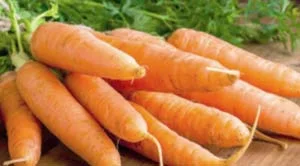 Carrots