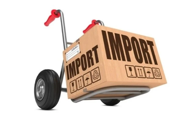 Mengenal Jenis-Jenis Importir dalam Perdagangan