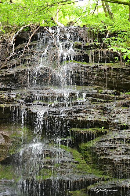 Fall Hollow Waterfall on the Natchez Trace Parkway Photos & Review