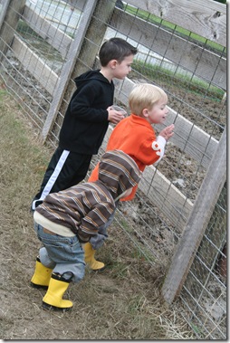 Pumpkin Patch 09 020