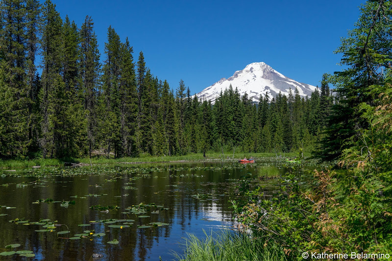 Trillium Lake Trail Things to Do In Oregon City and Mt. Hood Territory