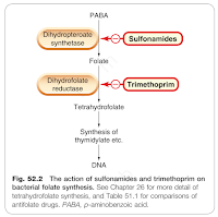 MOA of Co-trimoxazole