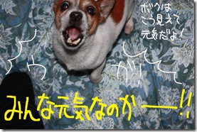 今日カズ０９１２１２　１