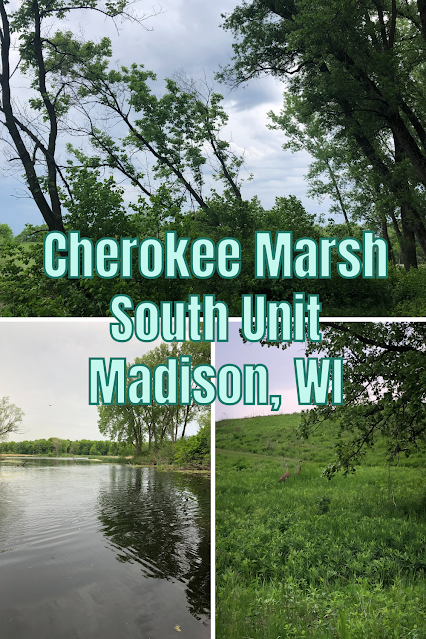 Admiring the Wetlands and Woodlands of Cherokee Marsh Conservation Park in Madison, Wisconsin