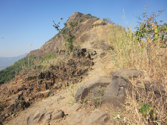 The tricky patch along the trail leading to Ballekilla, Purandar fort