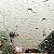 Sebagian Wilayah Jakarta dan Sekitarnya, Diguyur Hujan Pada Minggu Malam Kemarin 