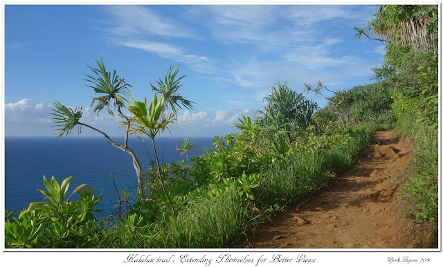 Kalalau Trail: Extending Themselves for Better Views