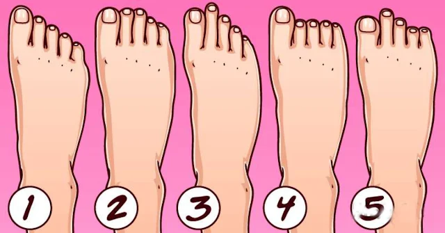 Types Of Feet