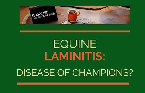 equine laminitis disease of champions