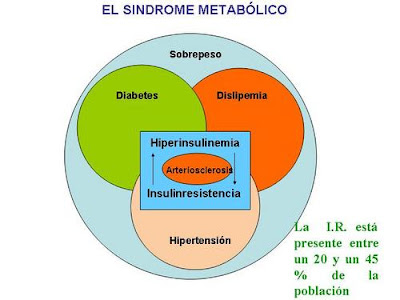 Resistencia a la Insulina = Insulinresistencia