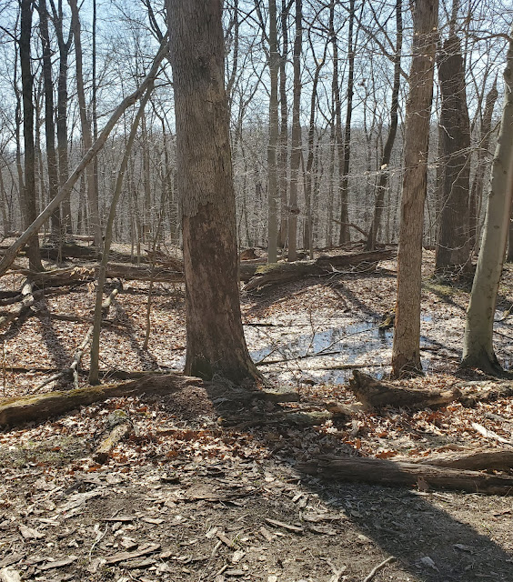 Ancient Quarry Pits at Flint Ridge