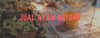 jual ayam potong 8 bahagian