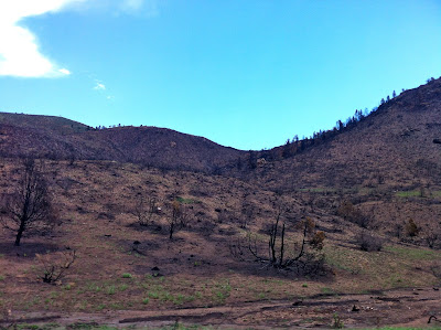 High Park Fire damage 2012 Highway 14, Cache La Poudre river www.thebrighterwriter.blogspot.com