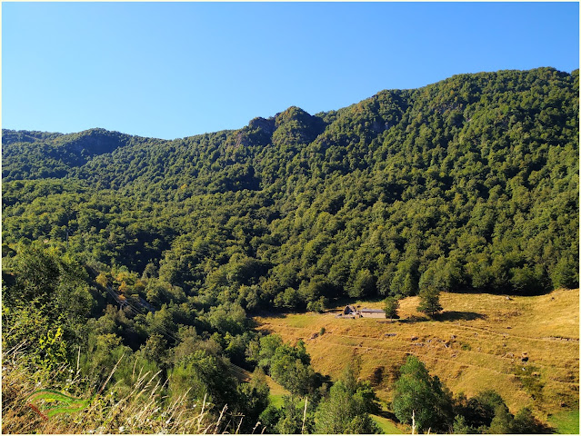 Bosque de Hermu (Hayedo del Monasterio de Hermo). ¡El mayor hayedo de Asturias!