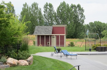 chicken coop (1 of 1)