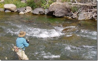 Tips Cara Mancing Ikan di Sungai Dengan Air Deras Paling Ampuh