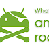 What is root 