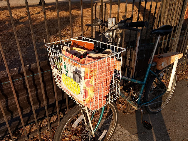 new bicycle basket with groceries