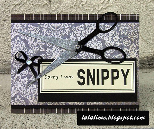 Get-Snippy_Barb-Derksen---prev2