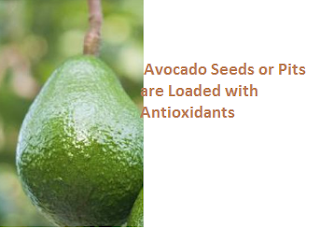  Avocado Seeds or Pits are Loaded with Antioxidants