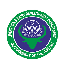 Latest Jobs in Livestock And Dairy Development Department 2021  