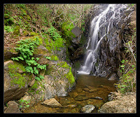 Black Hole Of Calcutta Falls5