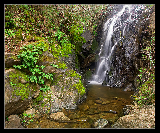 Black Hole Of Calcutta Falls5