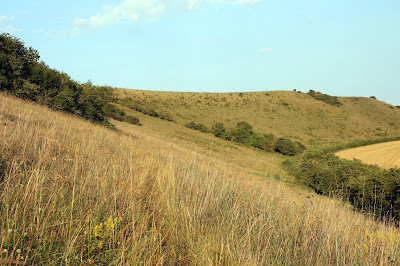 fordon chalk bank, east yorkshire