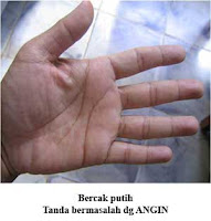 analisa telapak tangan