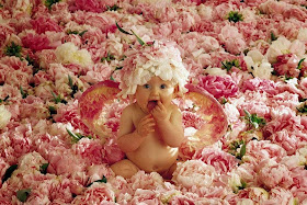 cute-baby-seatting-in-flowers