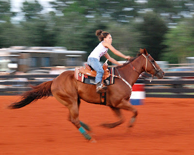 foto panning kuda