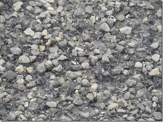 2019-1-26-rough-road_thumb1